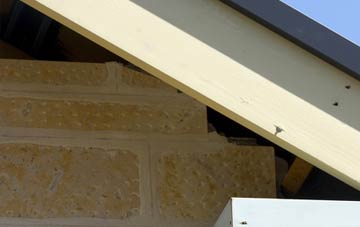 soffit repair Garrachan