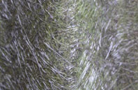 Garrachan fibreglass roof work